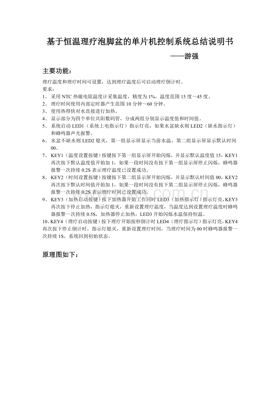 恒温理疗泡脚盆项目说明.doc_第1页