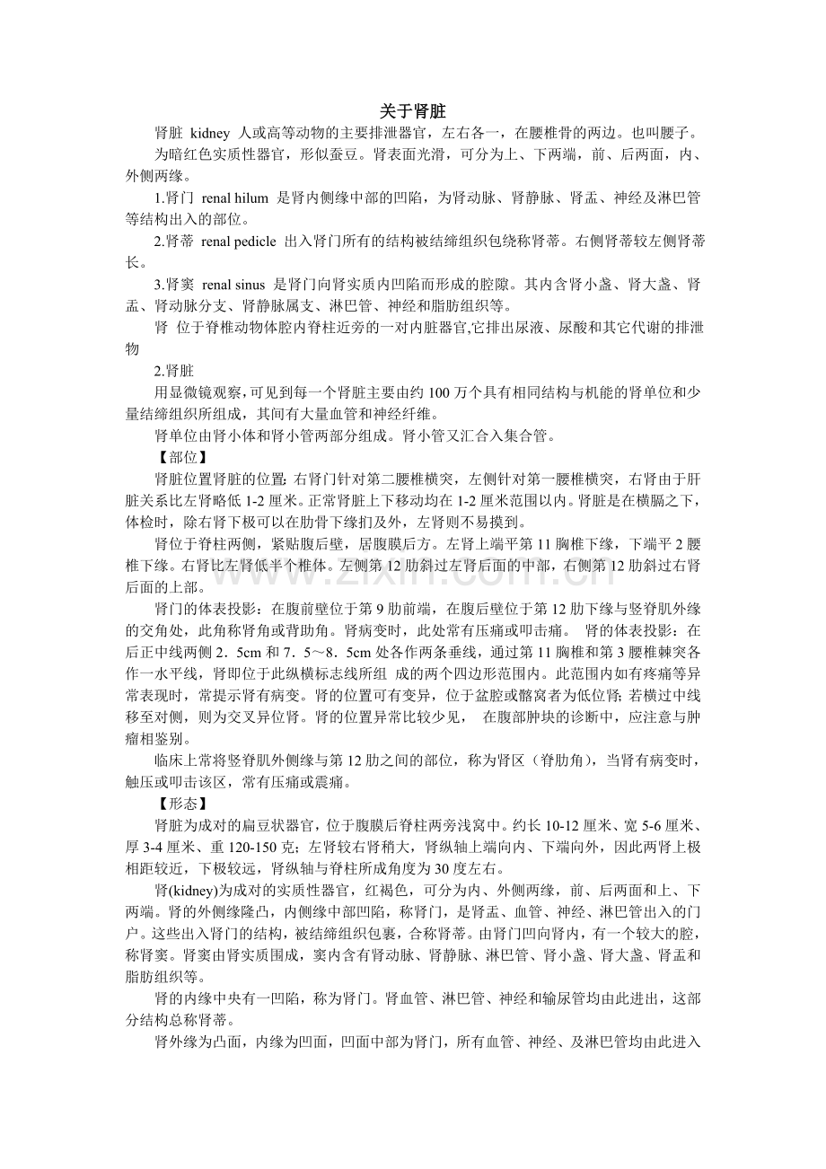 关于肾脏的重吸收.doc_第2页