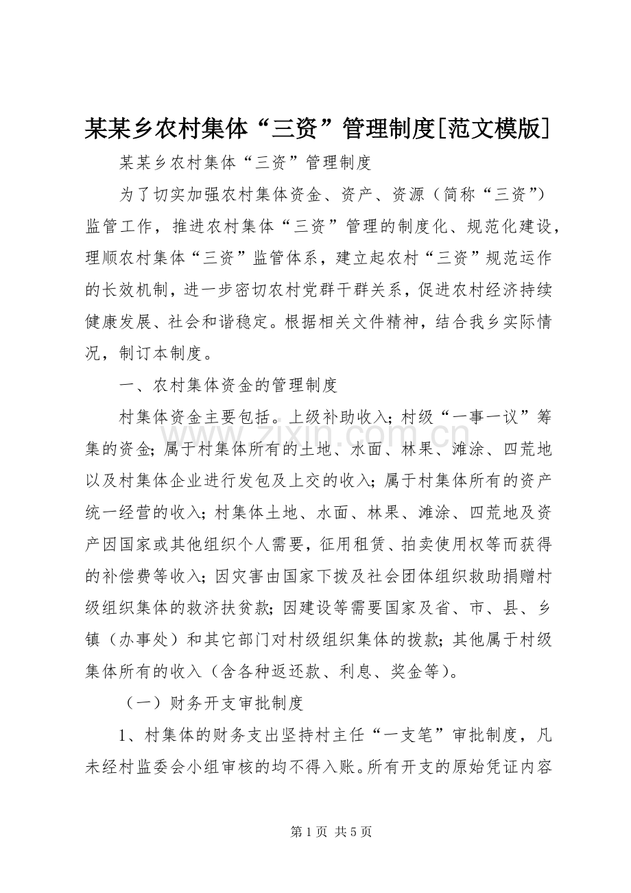 某某乡农村集体“三资”管理规章制度[范文模版].docx_第1页