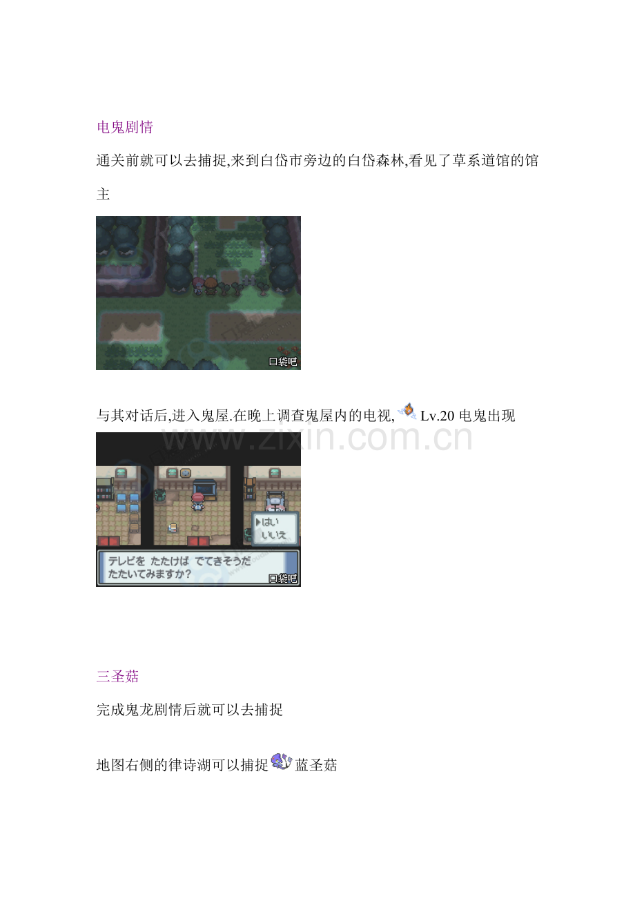 口袋妖怪白金二周目图文攻略.doc_第1页