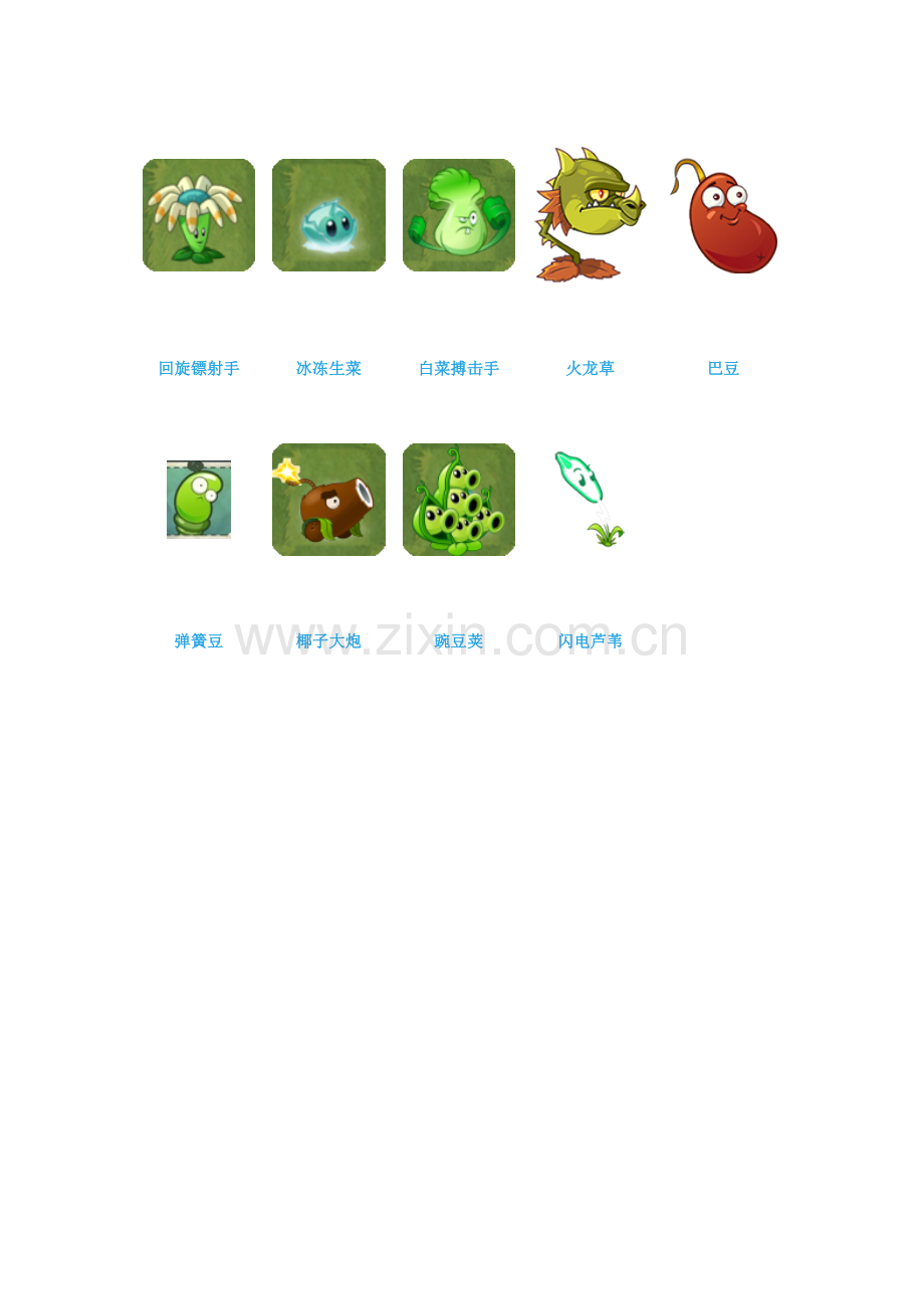 植物大战僵尸植物图鉴.doc_第2页