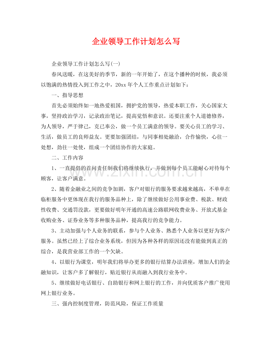 企业领导工作计划怎么写 .docx_第1页