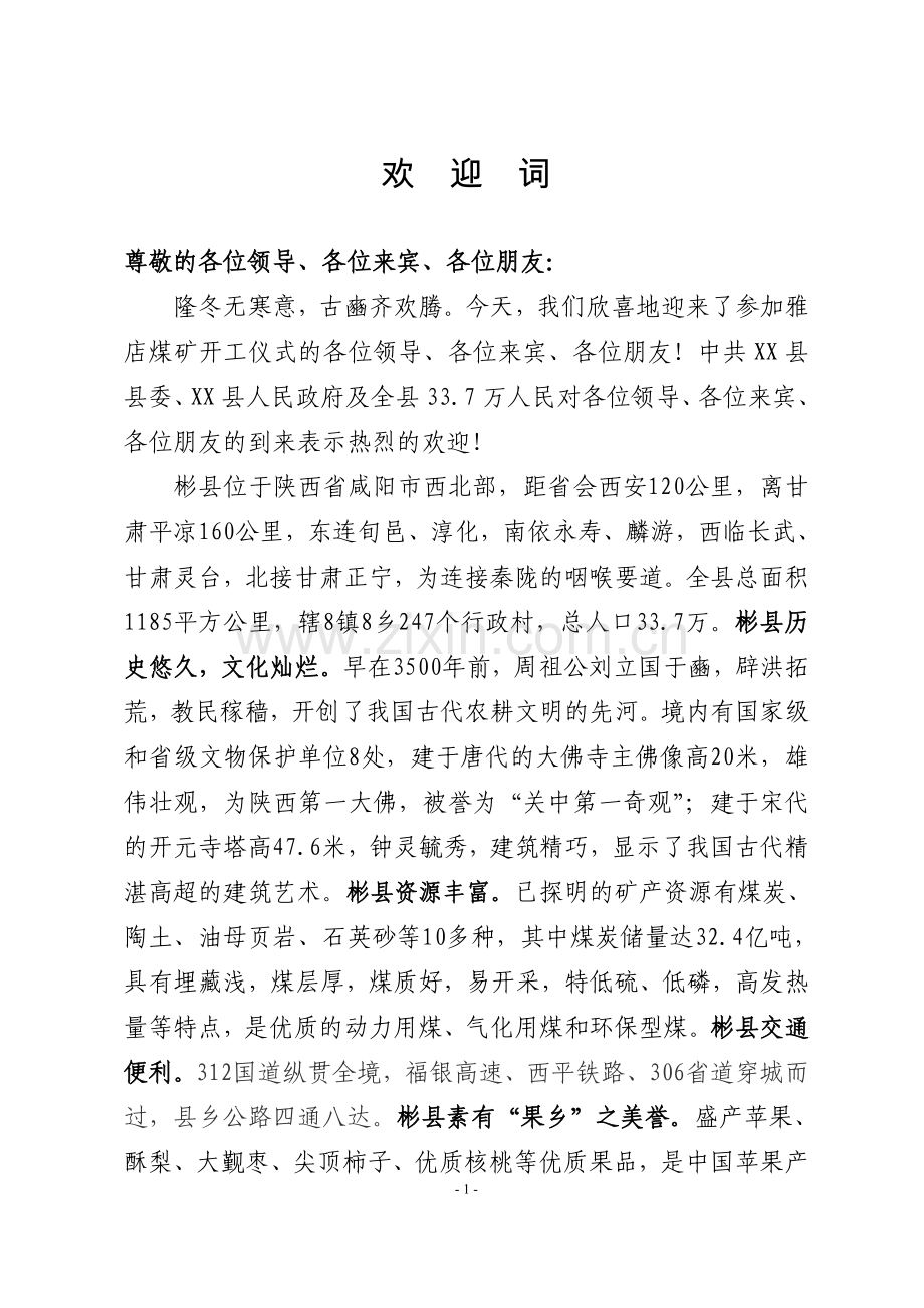 欢迎词(煤化工).doc_第1页