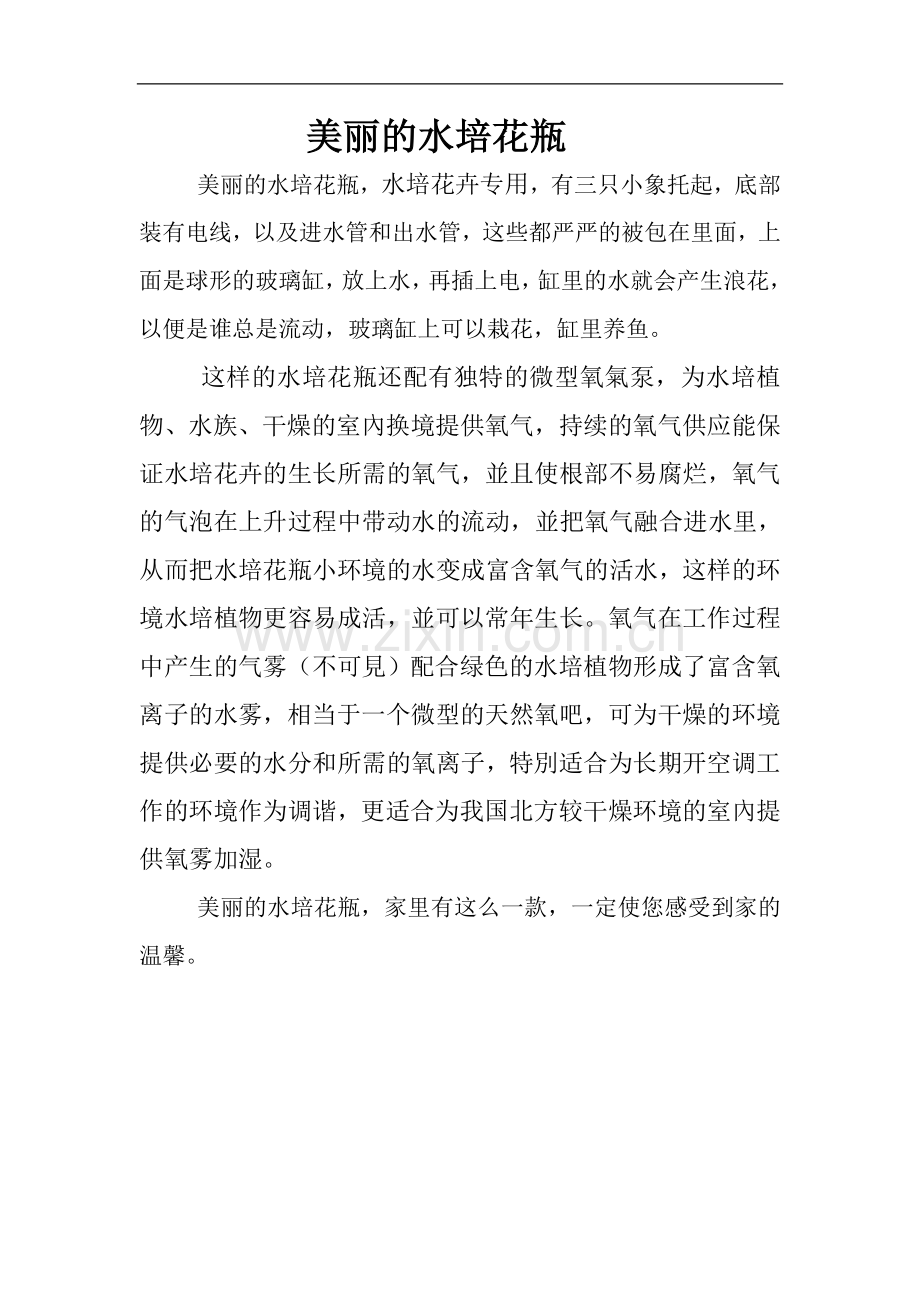 美丽的水培花瓶.doc_第2页
