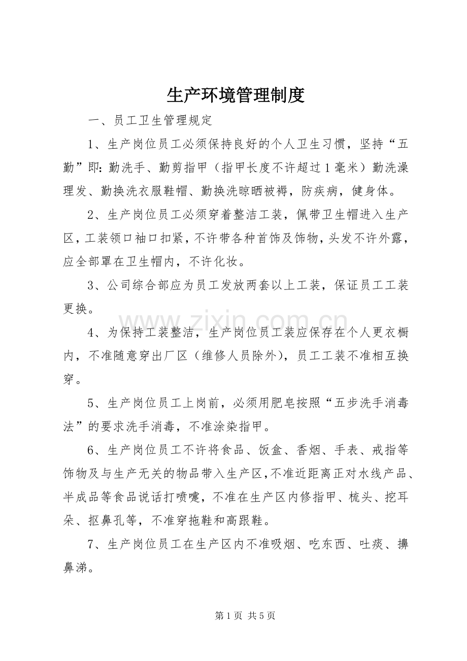 生产环境管理规章制度.docx_第1页