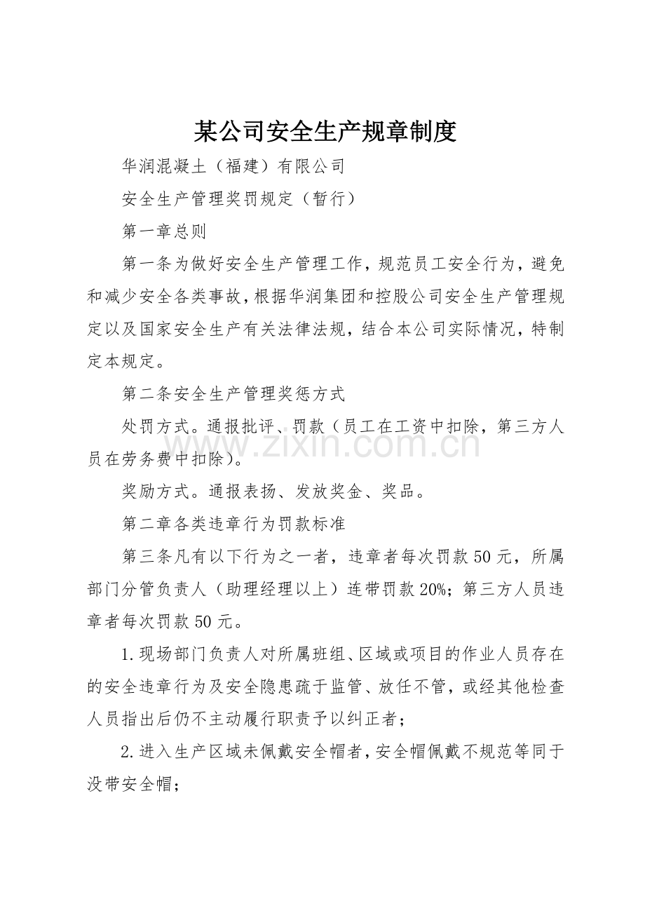 某公司安全生产规章规章制度细则.docx_第1页