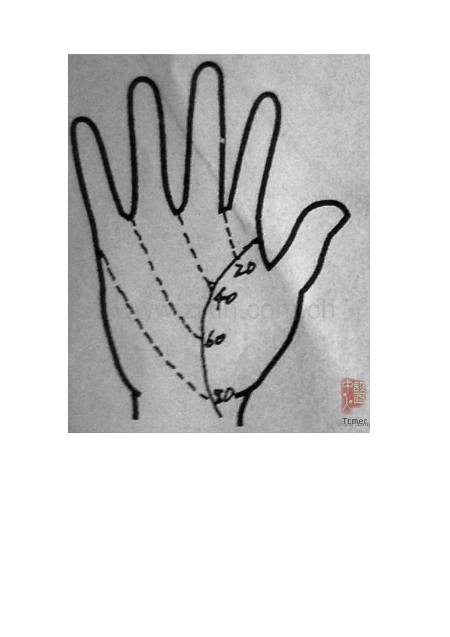 生命线年龄划分法.doc_第2页