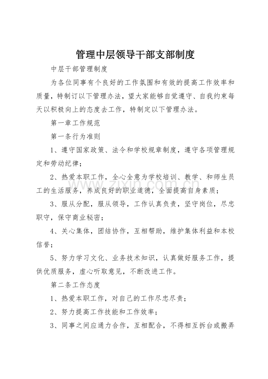 管理中层领导干部支部规章制度 .docx_第1页