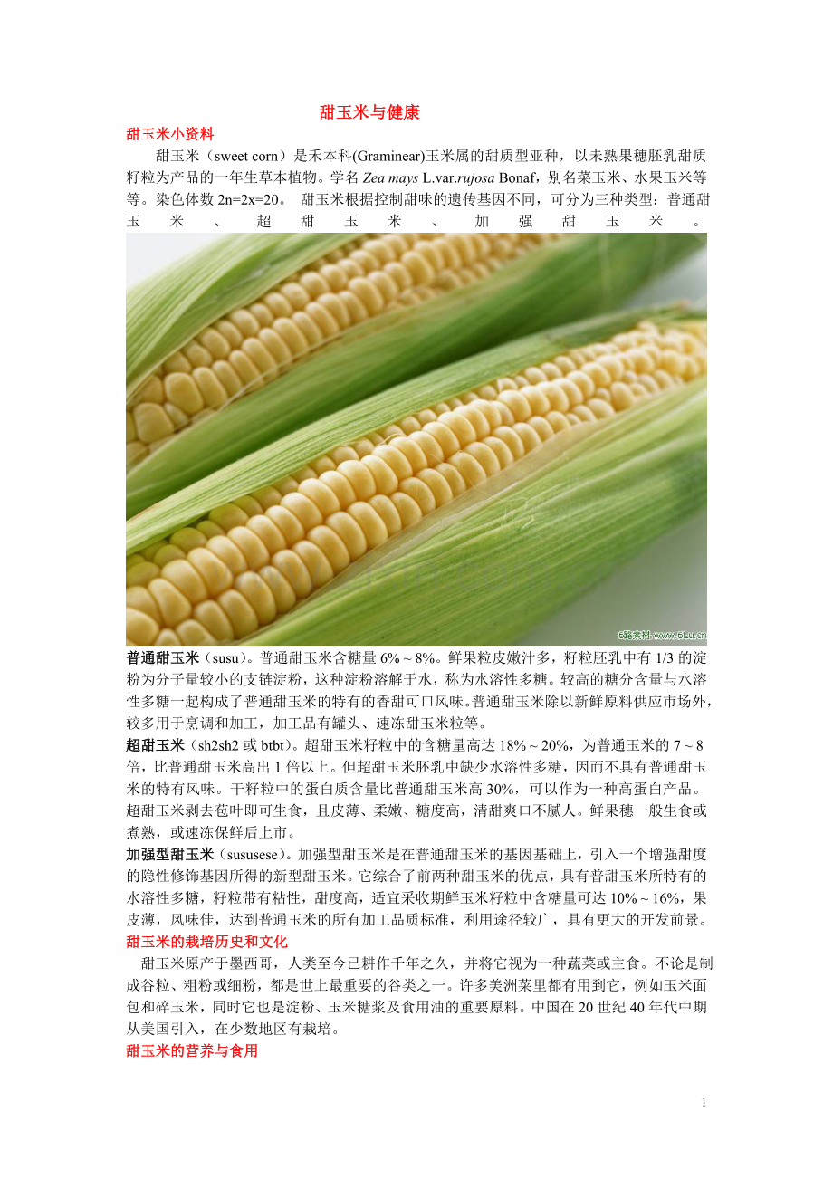 甜玉米与健康.doc_第1页