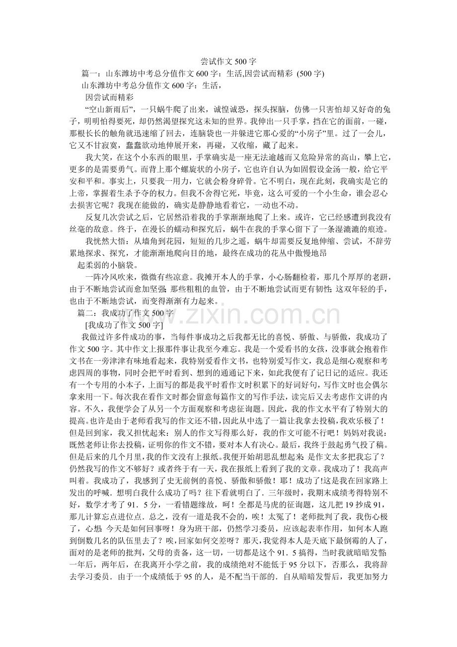 尝试作文500字.doc_第1页