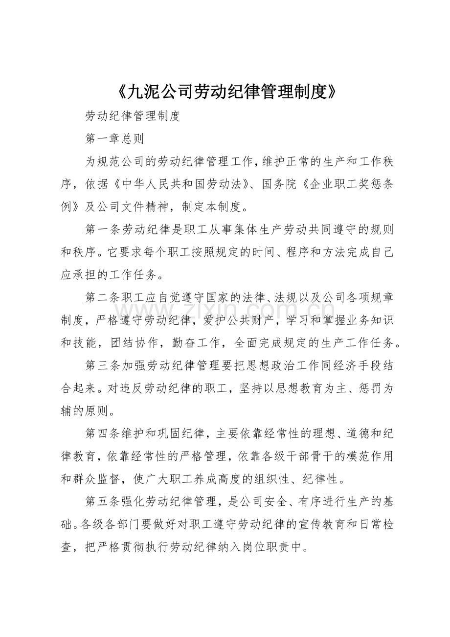 《九泥公司劳动纪律管理规章制度细则》.docx_第1页