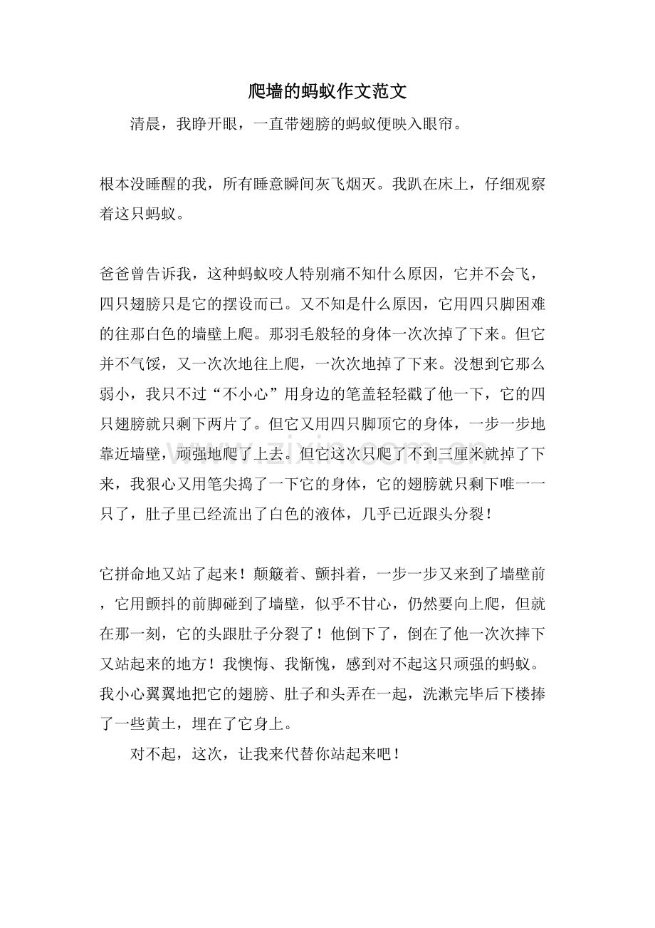 爬墙的蚂蚁作文范文.doc_第1页