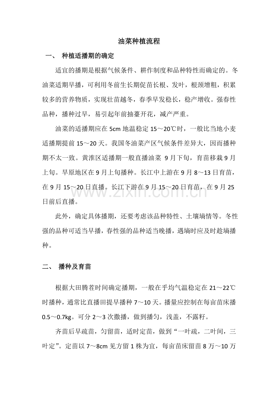 油菜种植流程.doc_第1页