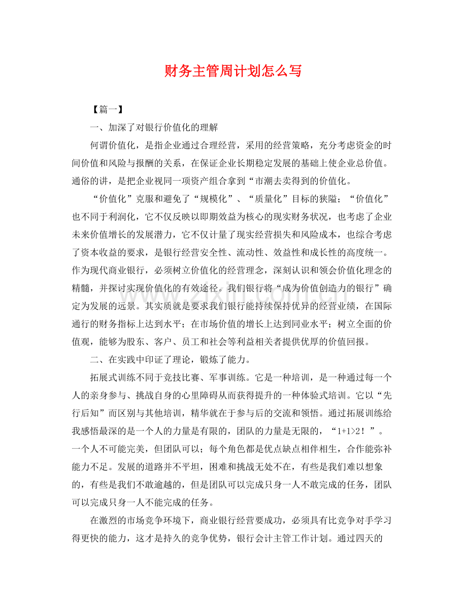 财务主管周计划怎么写 .docx_第1页