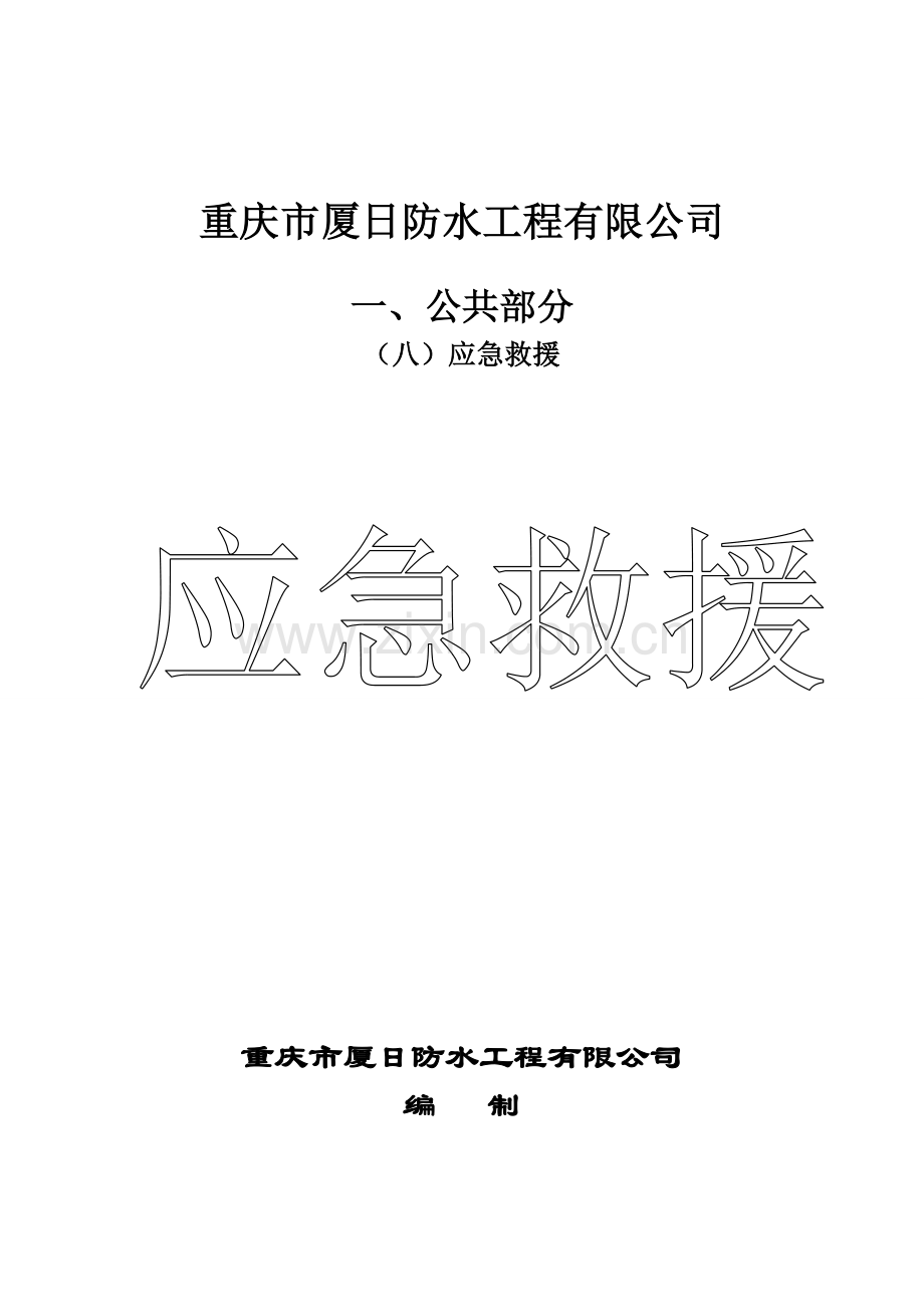 (九)应急管理.doc_第1页