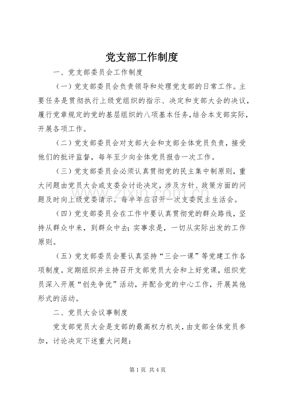 党支部工作规章制度细则.docx_第1页