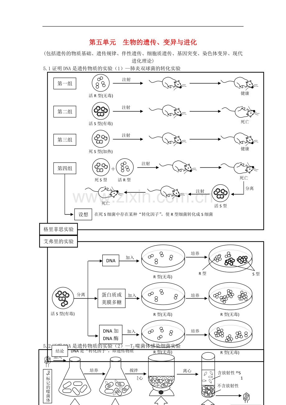 高中生物-第五单元-生物的遗传、变异与进化素材-人教版第二册.doc_第1页