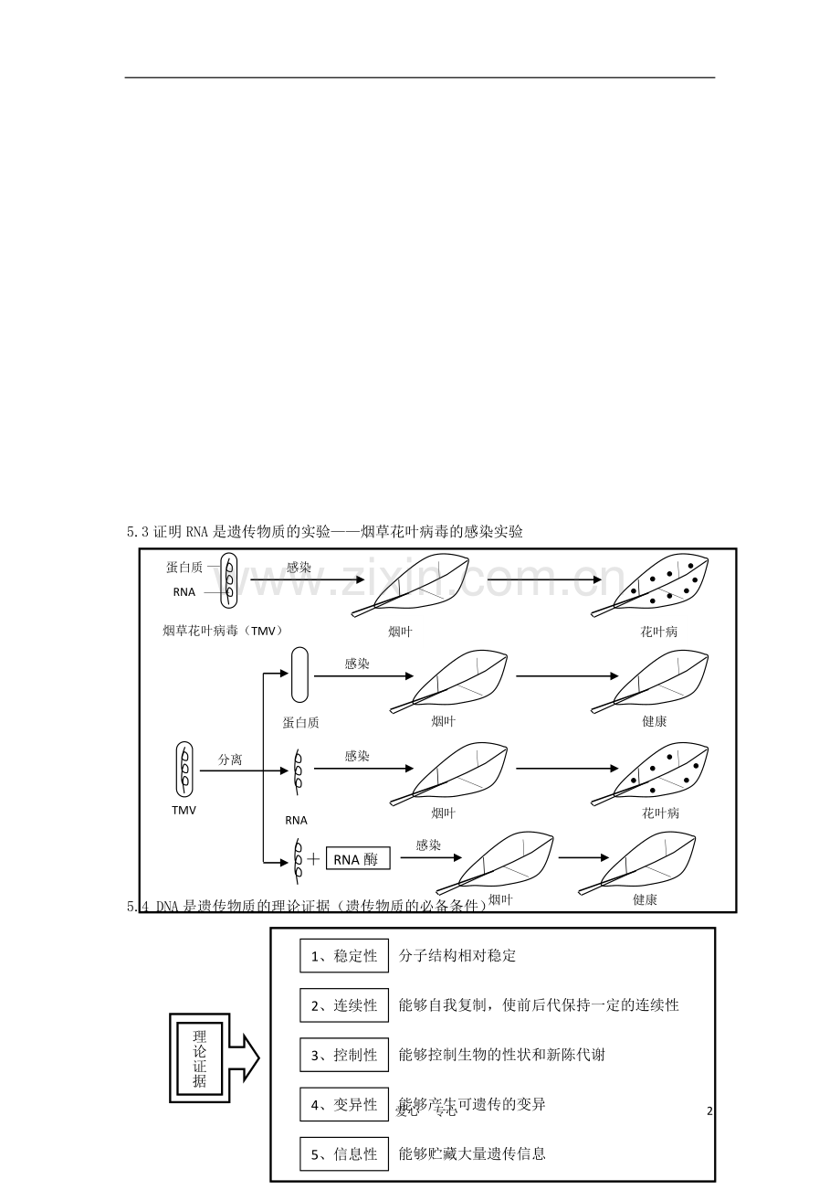 高中生物-第五单元-生物的遗传、变异与进化素材-人教版第二册.doc_第2页