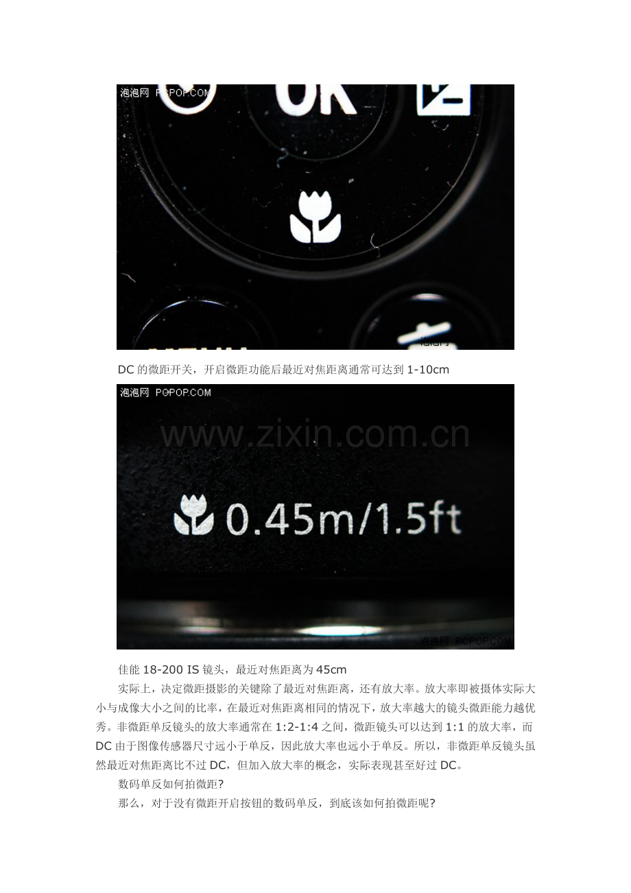 数码单反该如何拍微距.doc_第2页