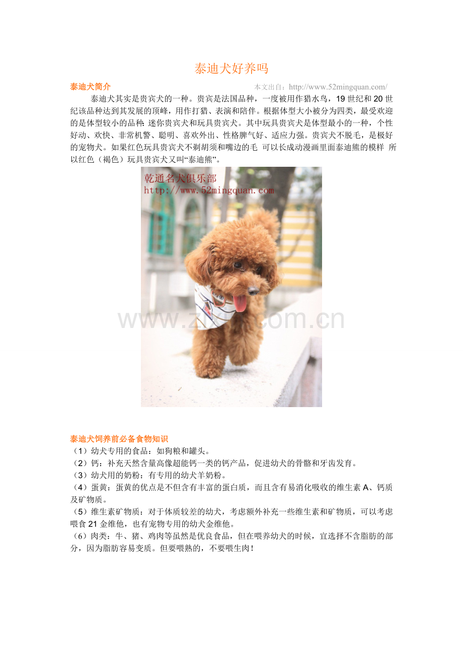 泰迪犬好养吗？由乾通名犬繁殖中心来教你!.doc_第1页