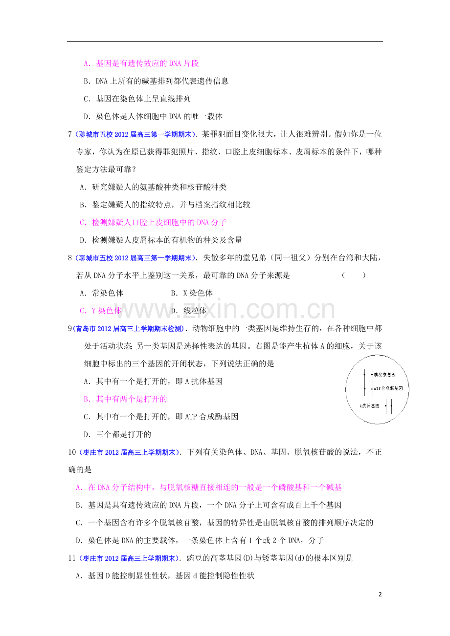 2013届高三生物一轮复习-遗传与进化-3.4-基因是有遗传效应的DNA片段课时训练-新人教版.doc_第2页