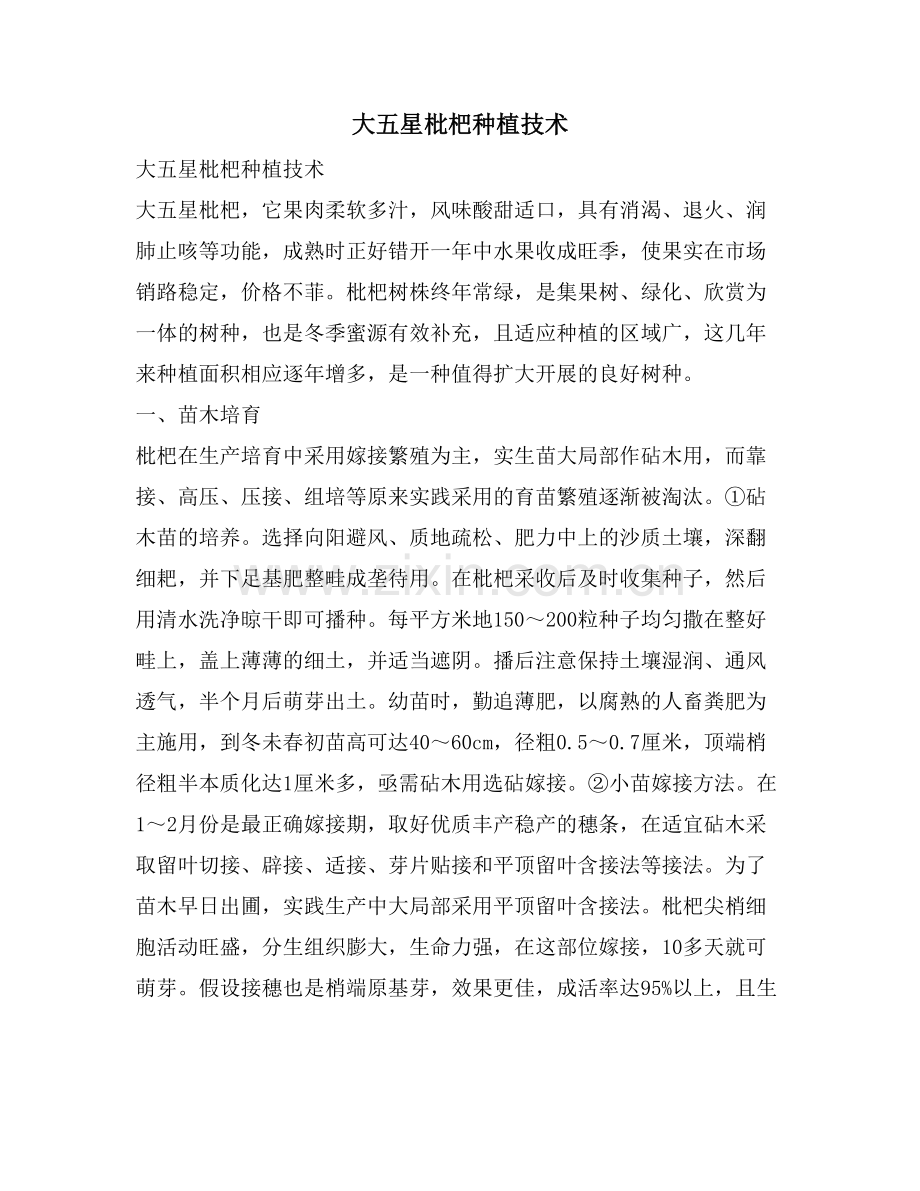 大五星枇杷种植技术.doc_第1页