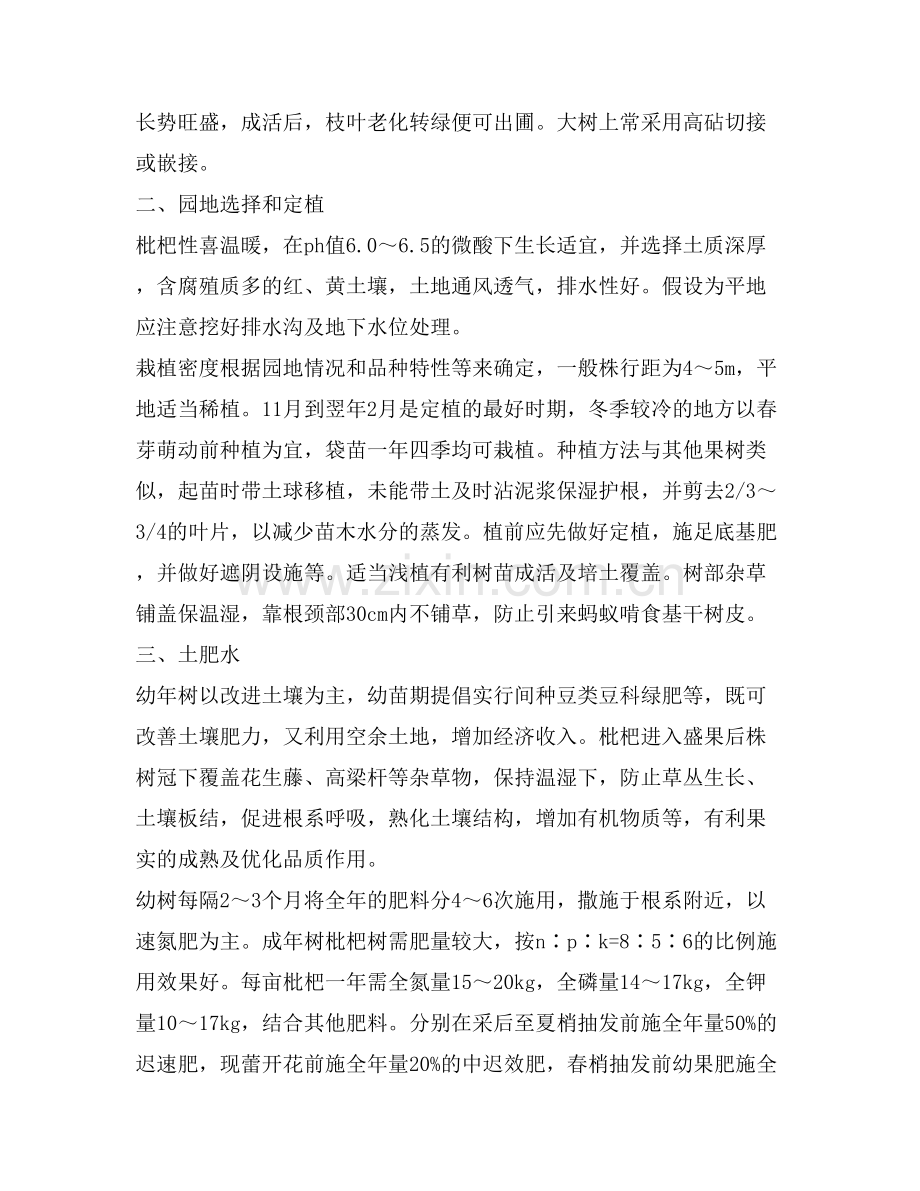 大五星枇杷种植技术.doc_第2页