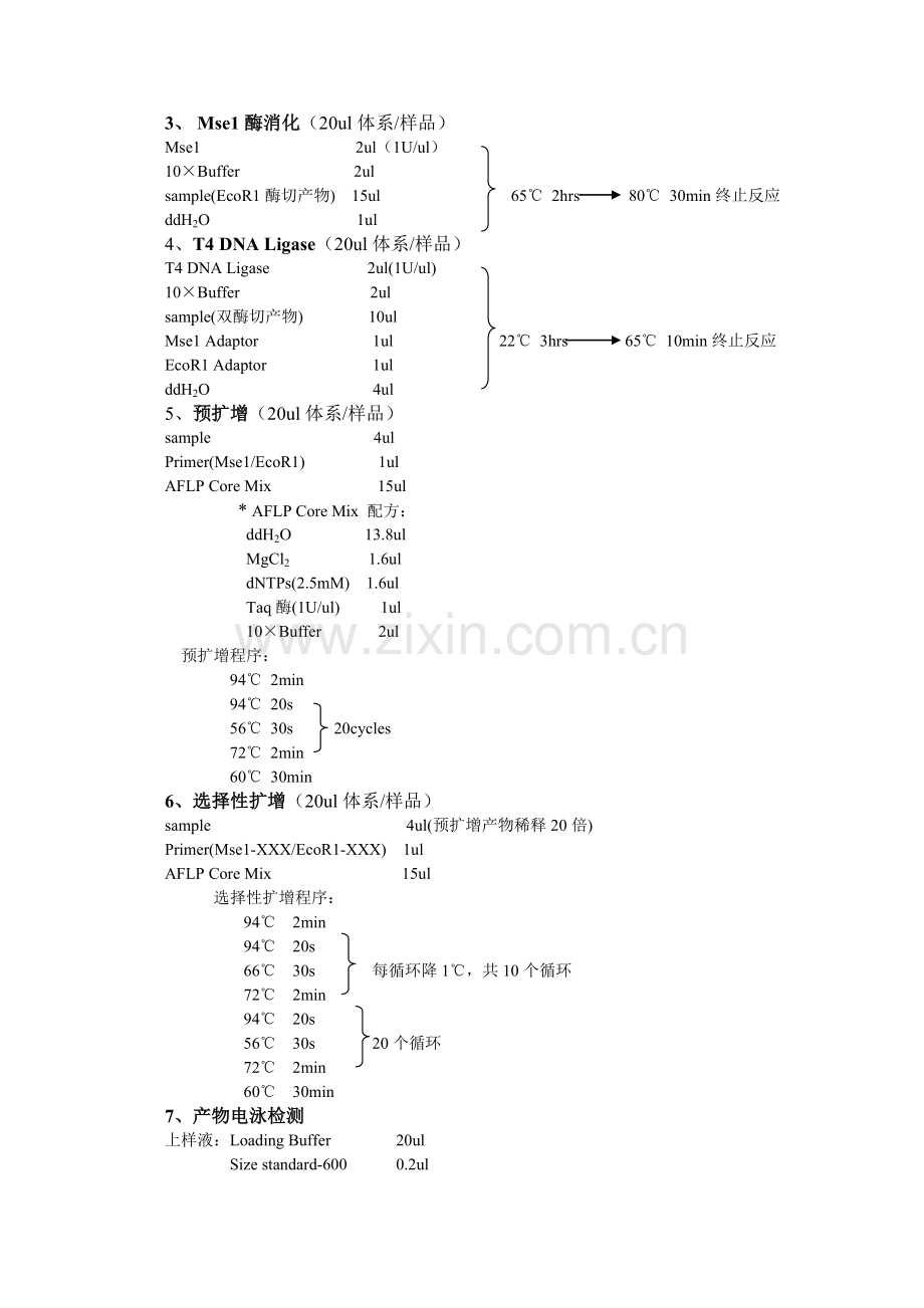 AFLP分子标记实验流程.doc_第2页