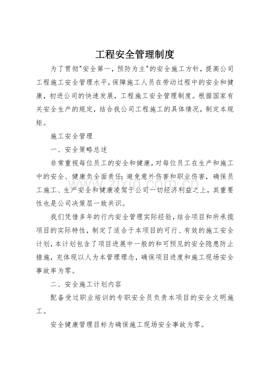 工程安全管理规章制度细则.docx_第1页