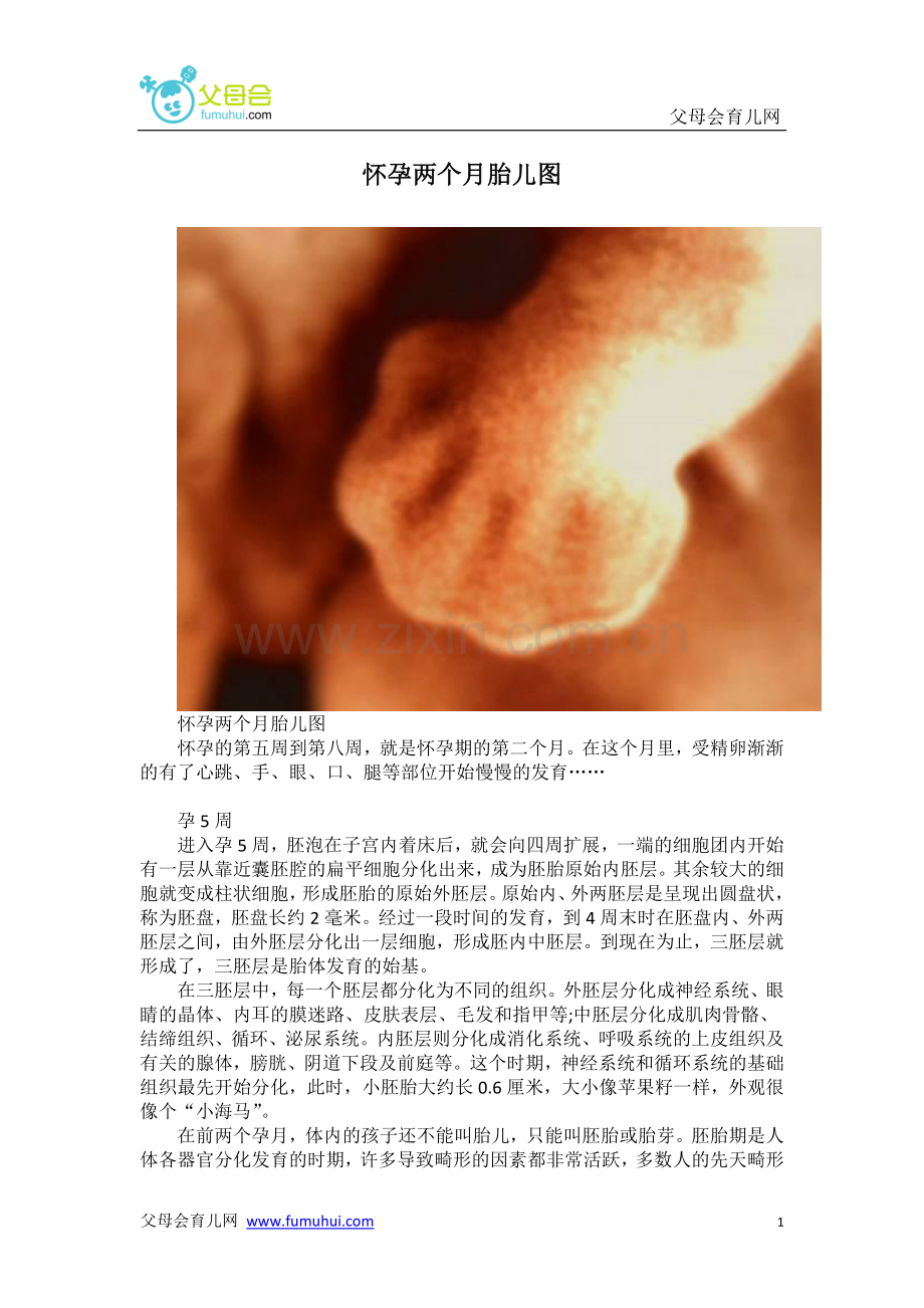 怀孕两个月胎儿图.doc_第1页