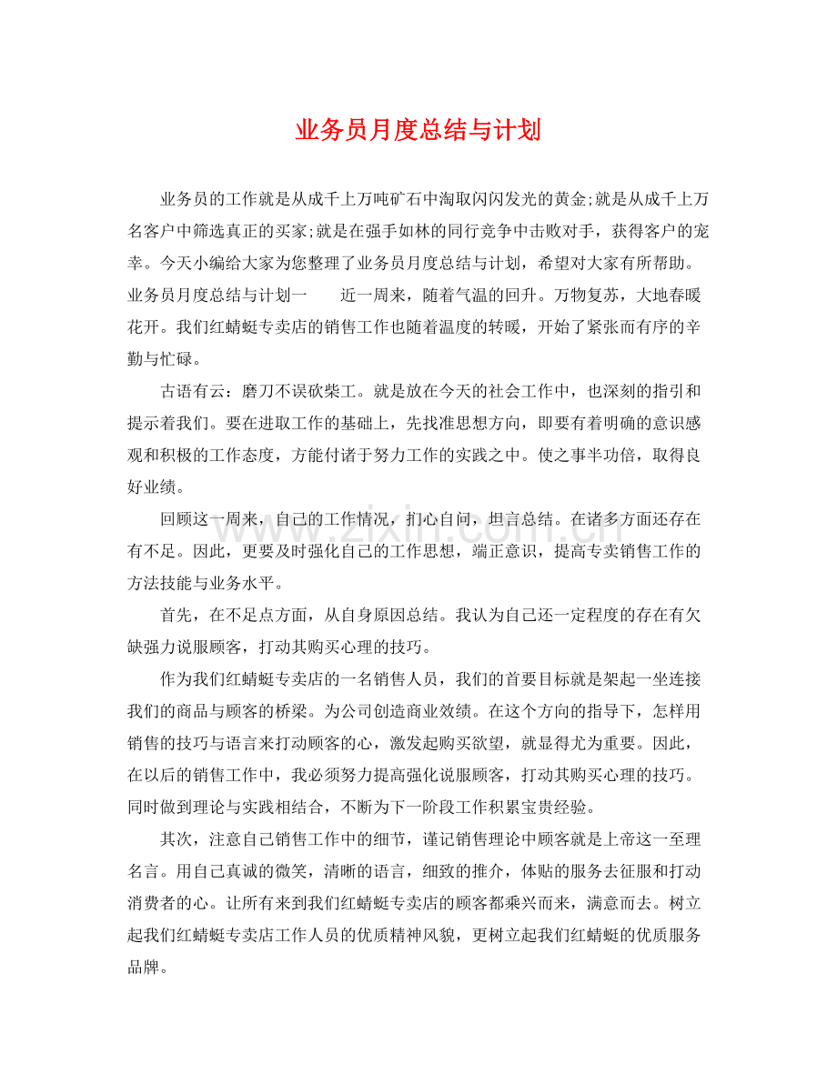 业务员月度总结与计划 .docx_第1页