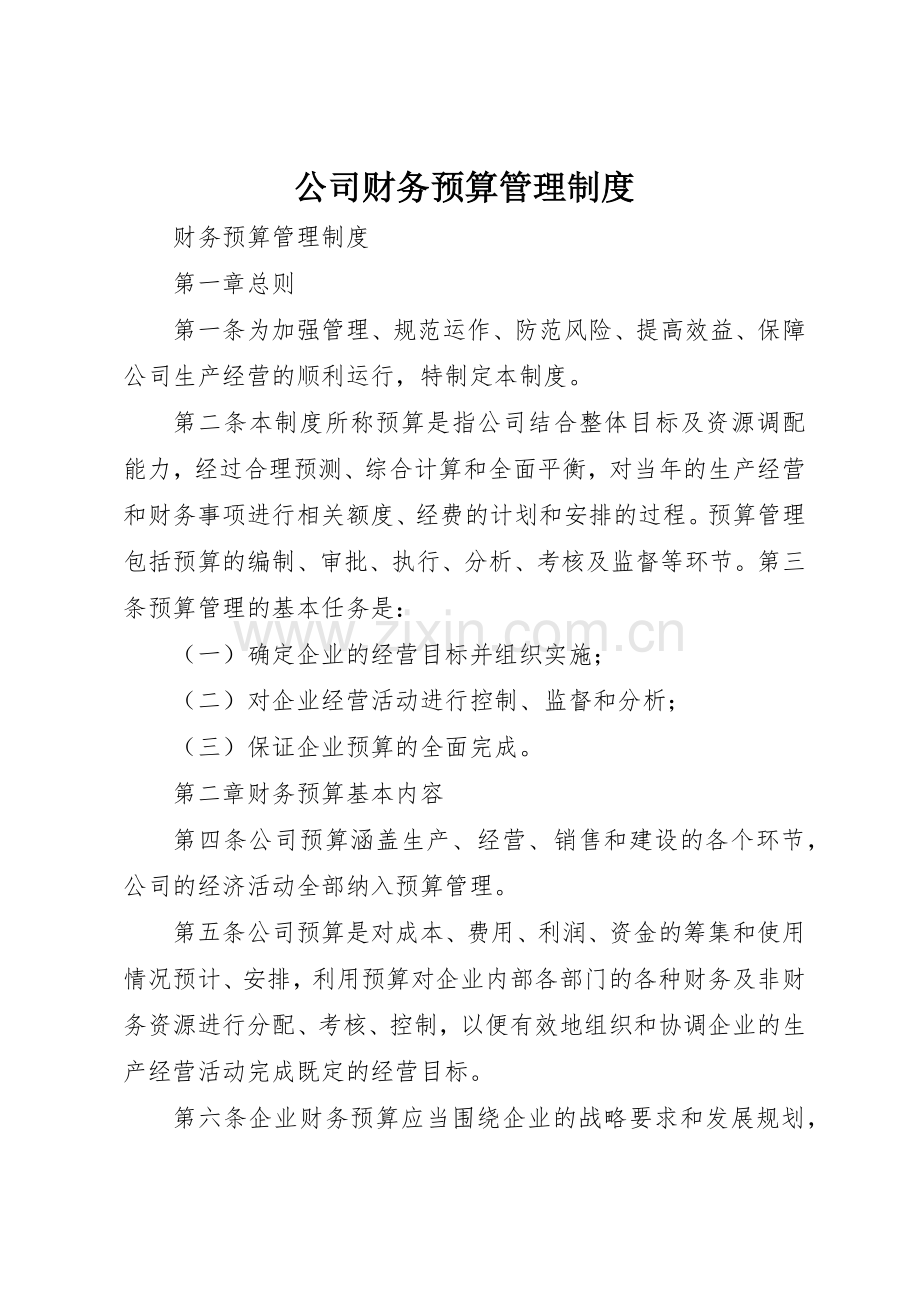 公司财务预算规章制度管理.docx_第1页