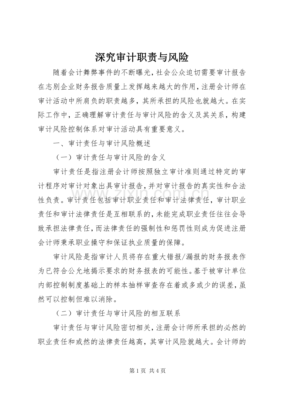 深究审计职责要求与风险.docx_第1页