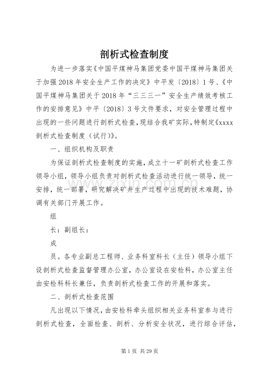 剖析式检查规章制度.docx_第1页