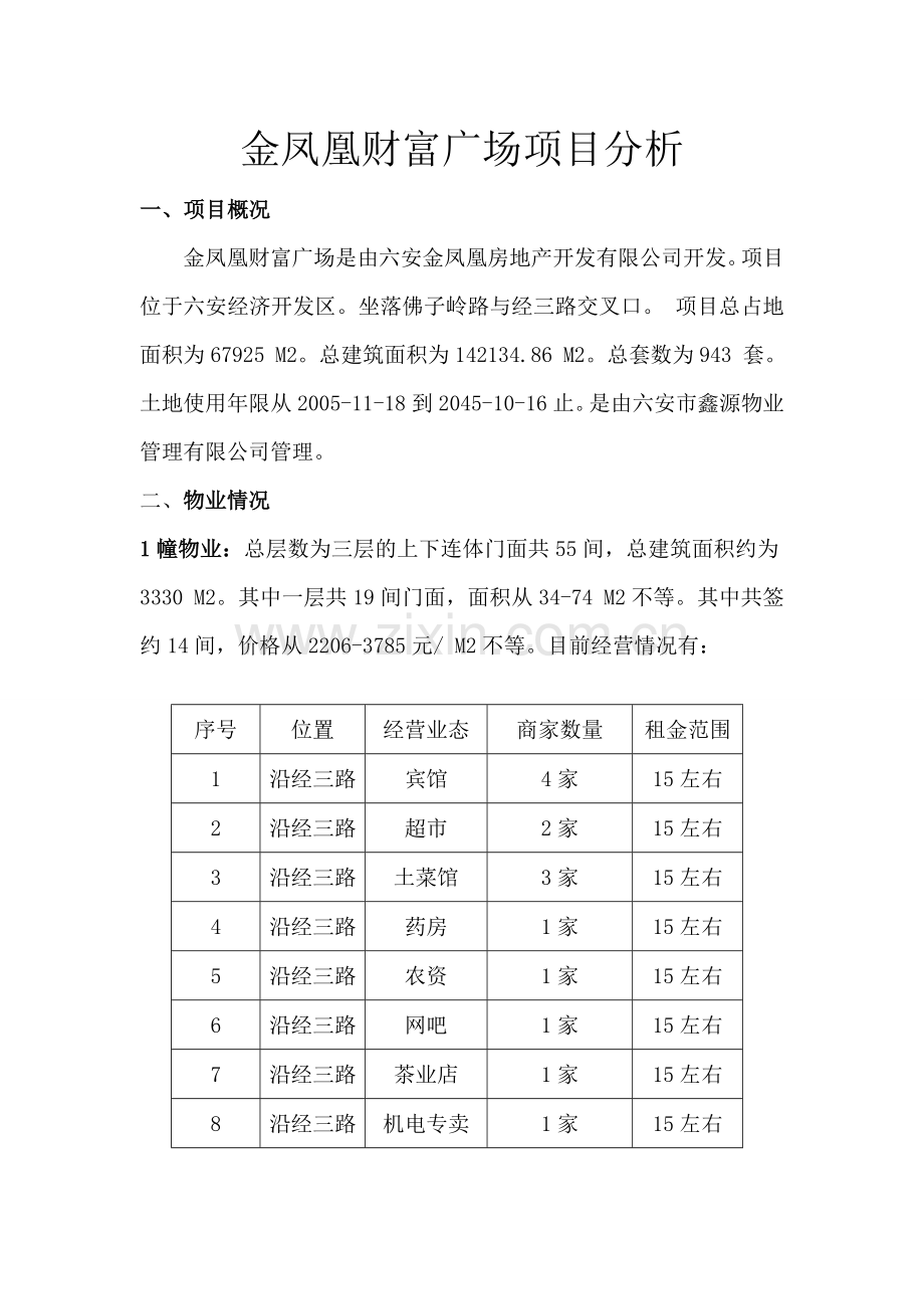 六安金凤凰财富广场项目分析.doc_第1页