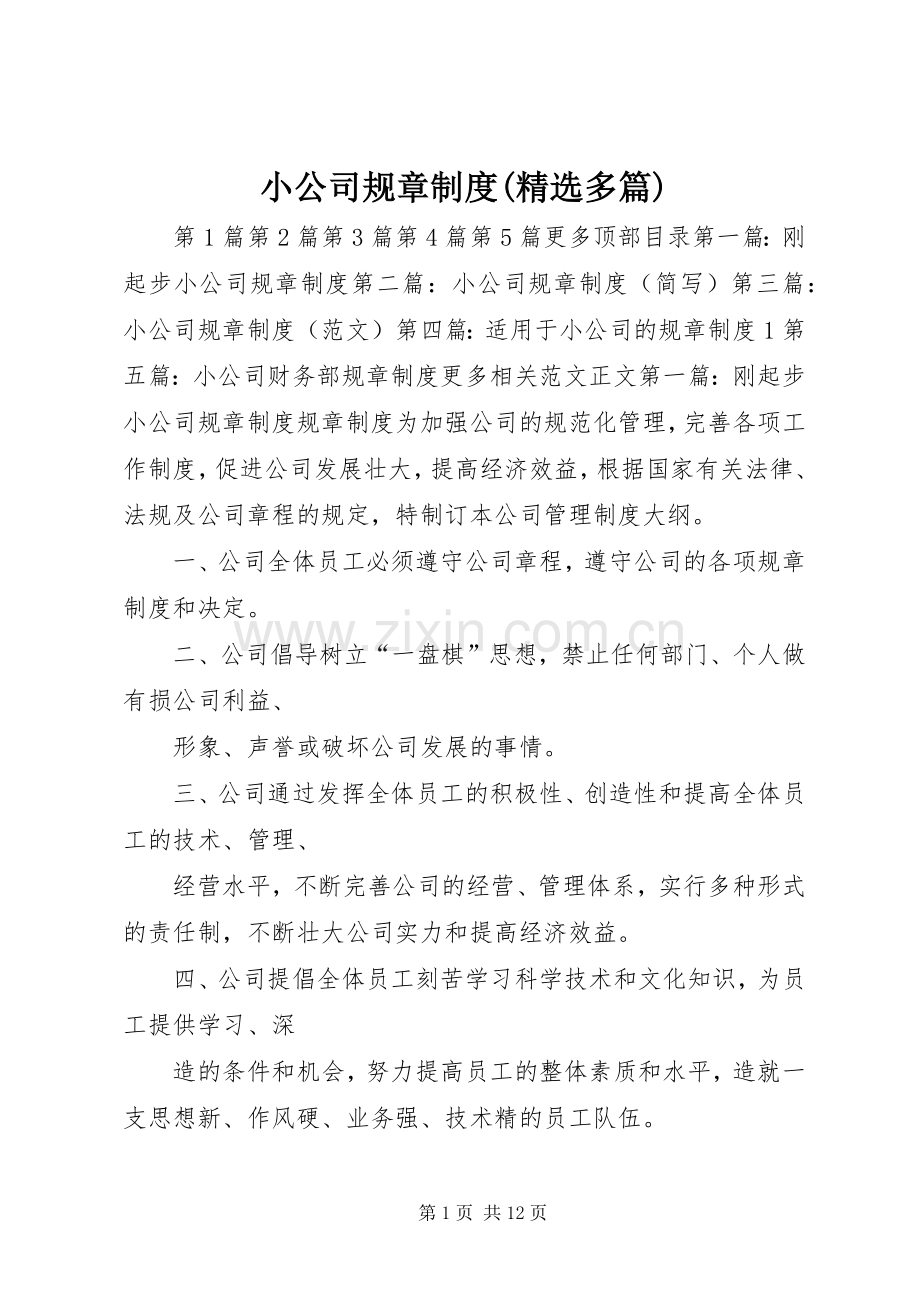 小公司规章规章制度(多篇).docx_第1页