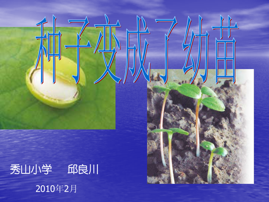 第4课：种子变成了幼苗.ppt_第1页