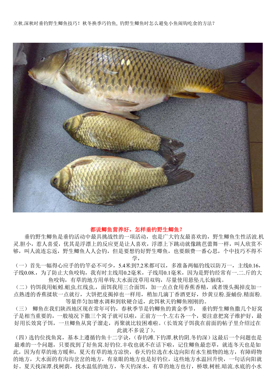 野钓大鲫鱼.doc_第1页