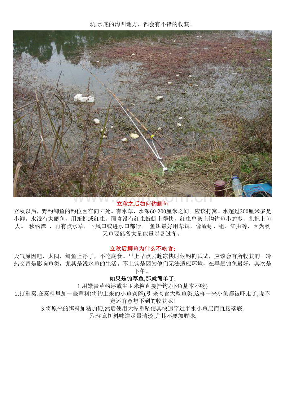 野钓大鲫鱼.doc_第2页