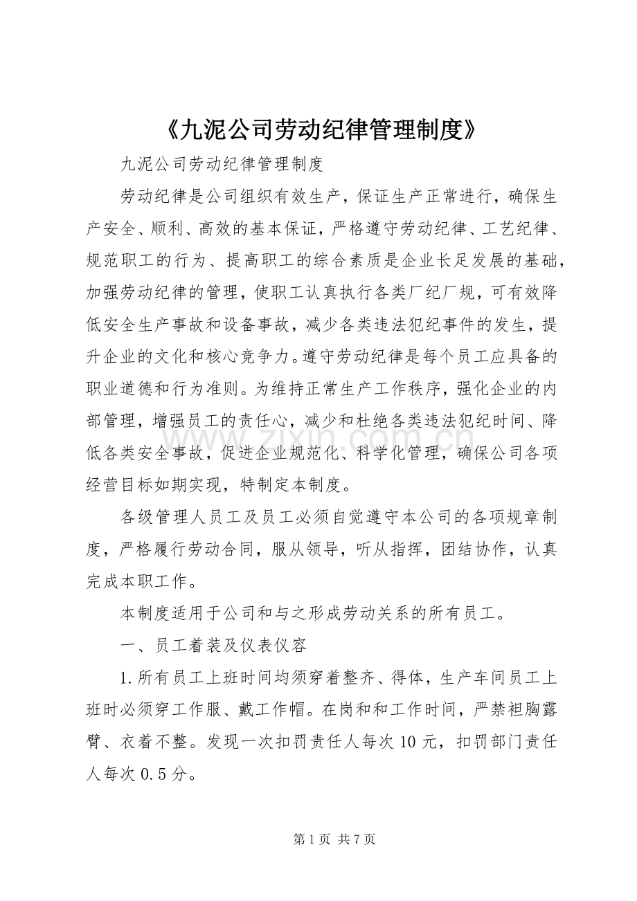 《九泥公司劳动纪律管理规章制度》.docx_第1页