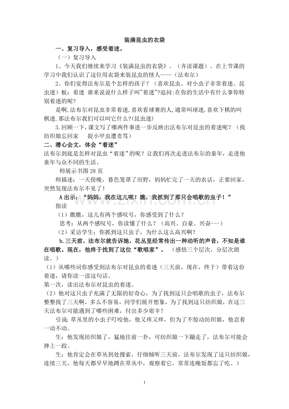 装满昆虫的衣袋教案(周).doc_第1页