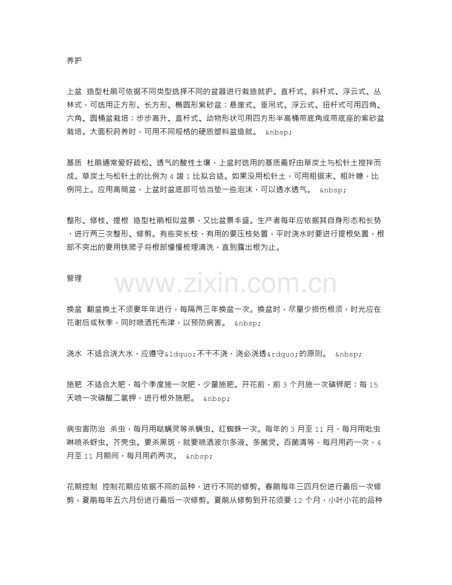 造型杜鹃制作及养护方法.doc_第2页