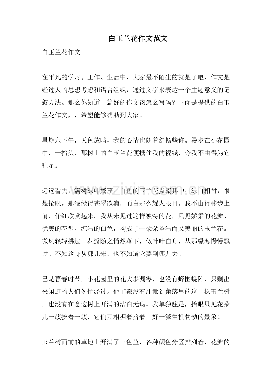 白玉兰花作文范文.doc_第1页