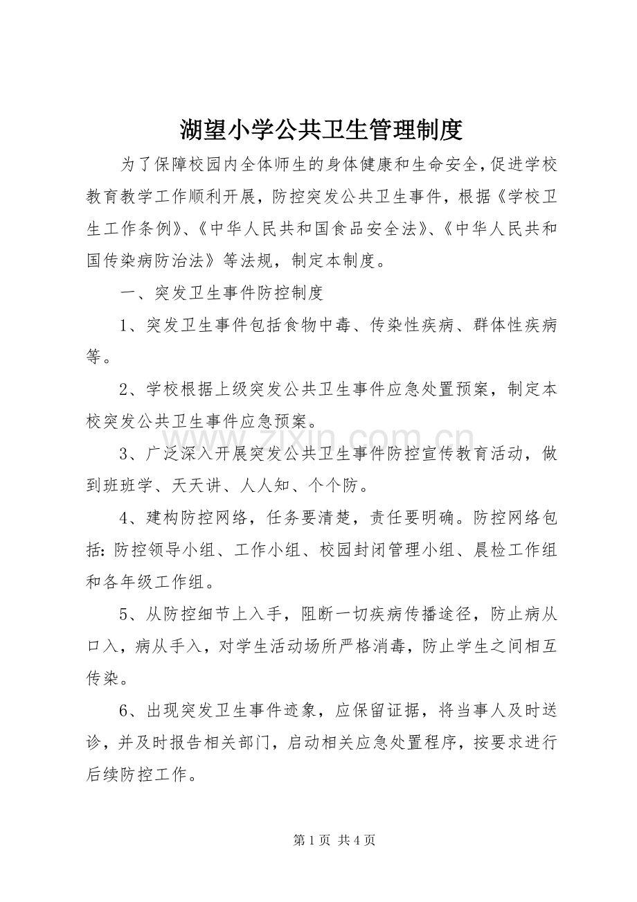 湖望小学公共卫生管理规章制度.docx_第1页