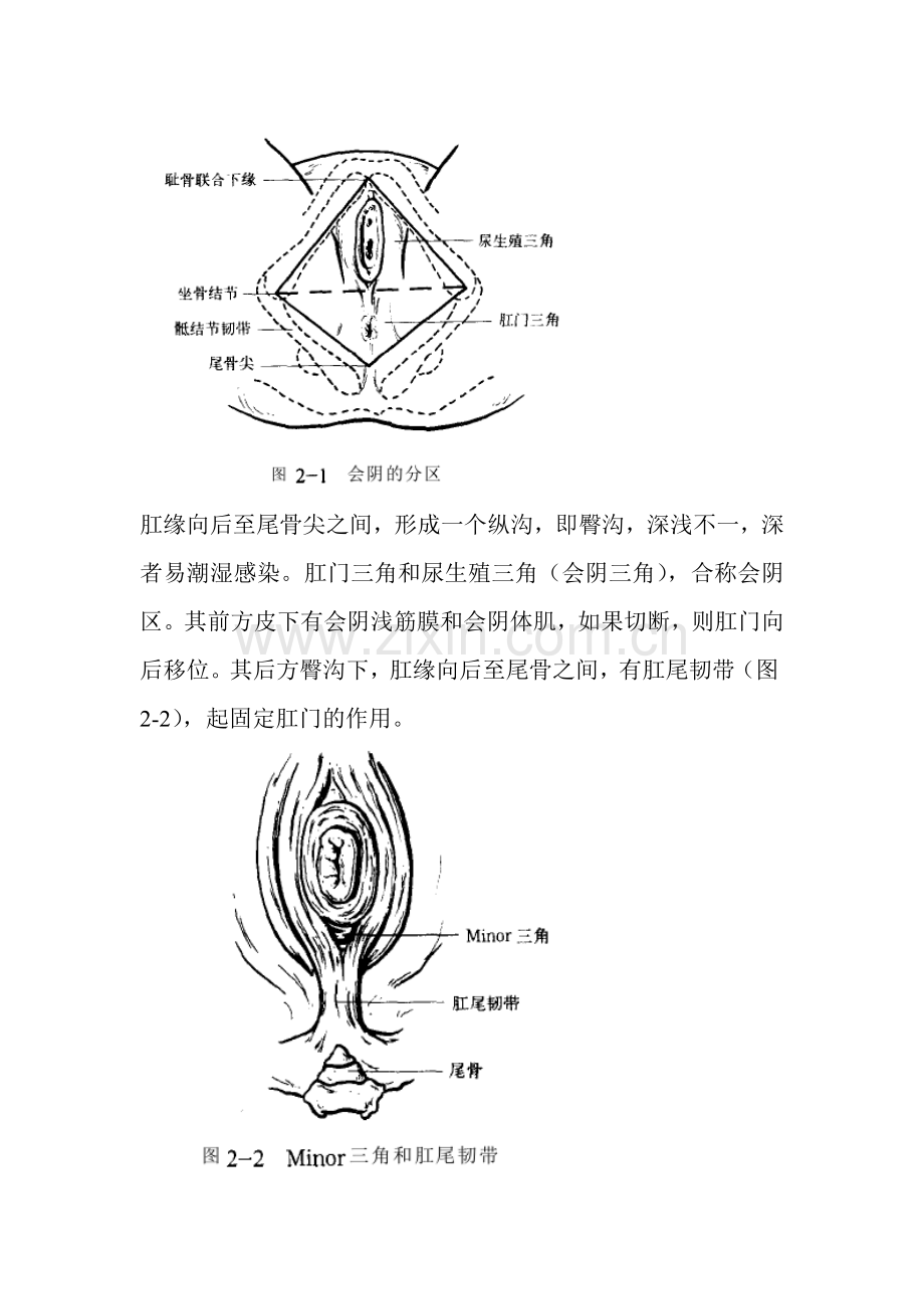 肛门直肠局部解剖.doc_第2页