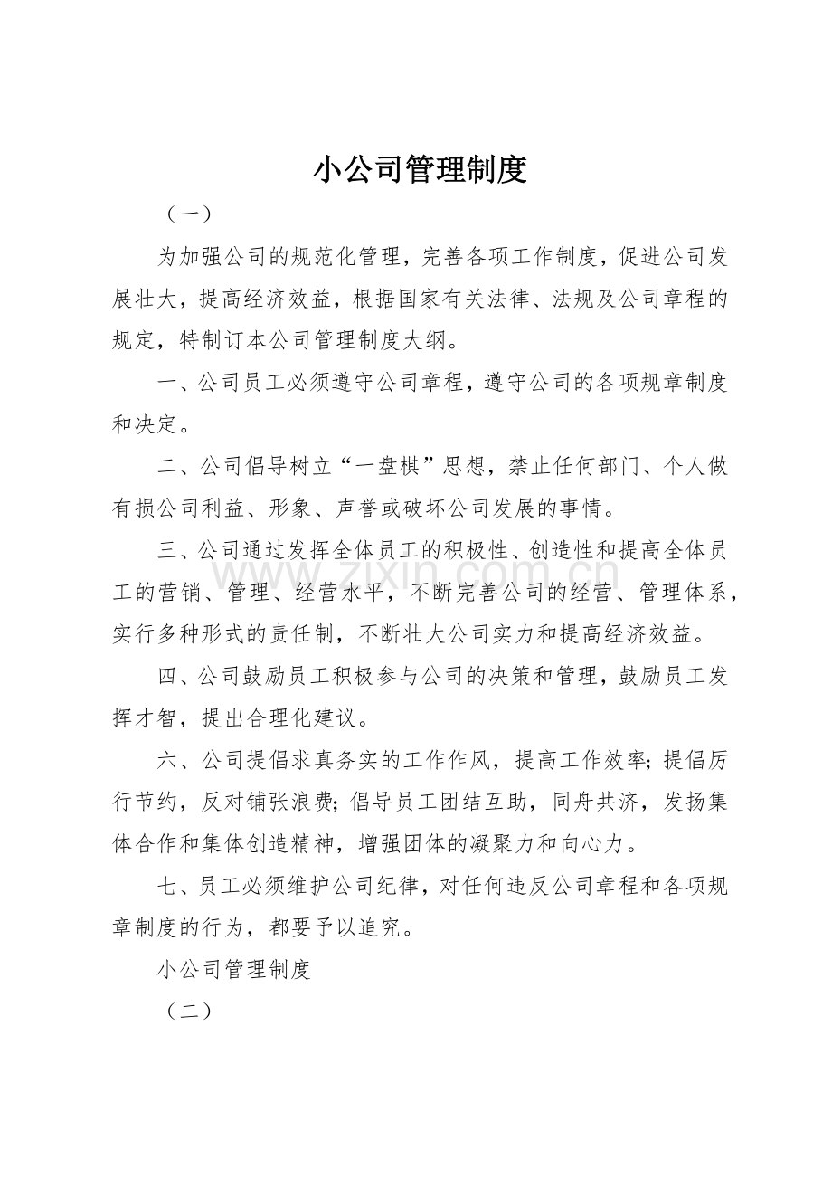 小公司管理规章制度细则.docx_第1页