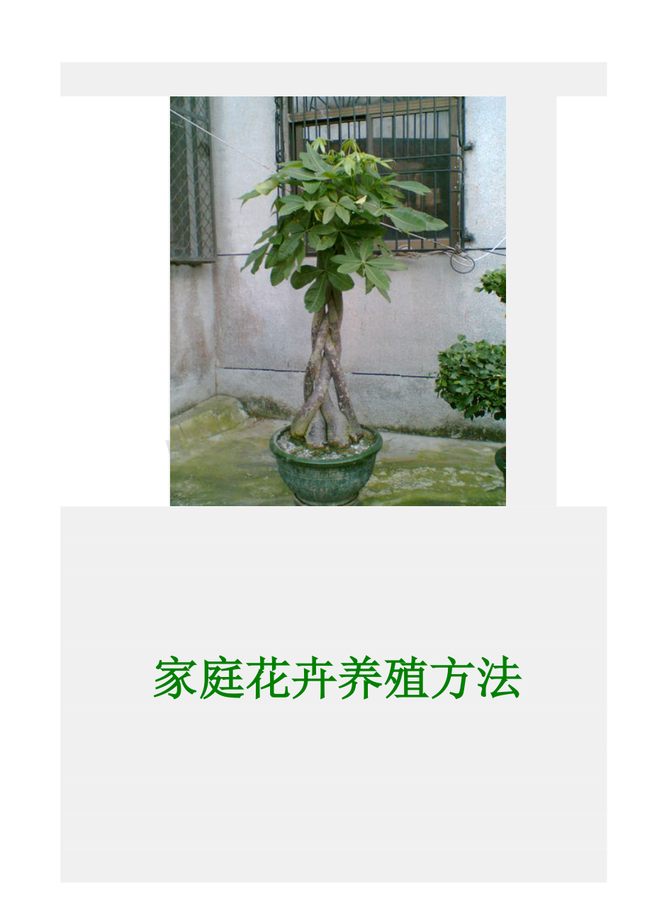 家花的养殖.doc_第1页