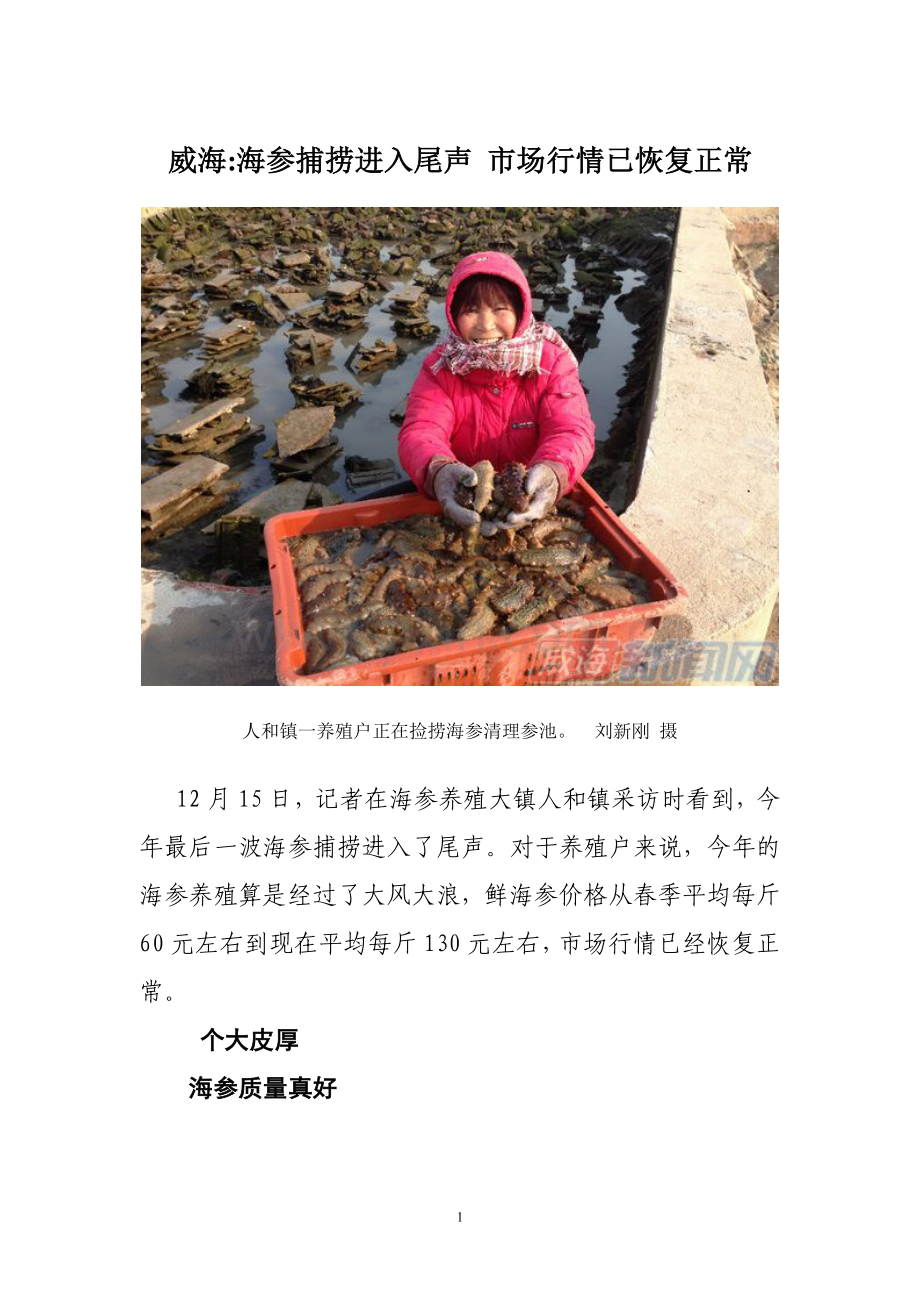 威海海参捕捞进入尾声 市场行情已恢复正常.doc_第1页