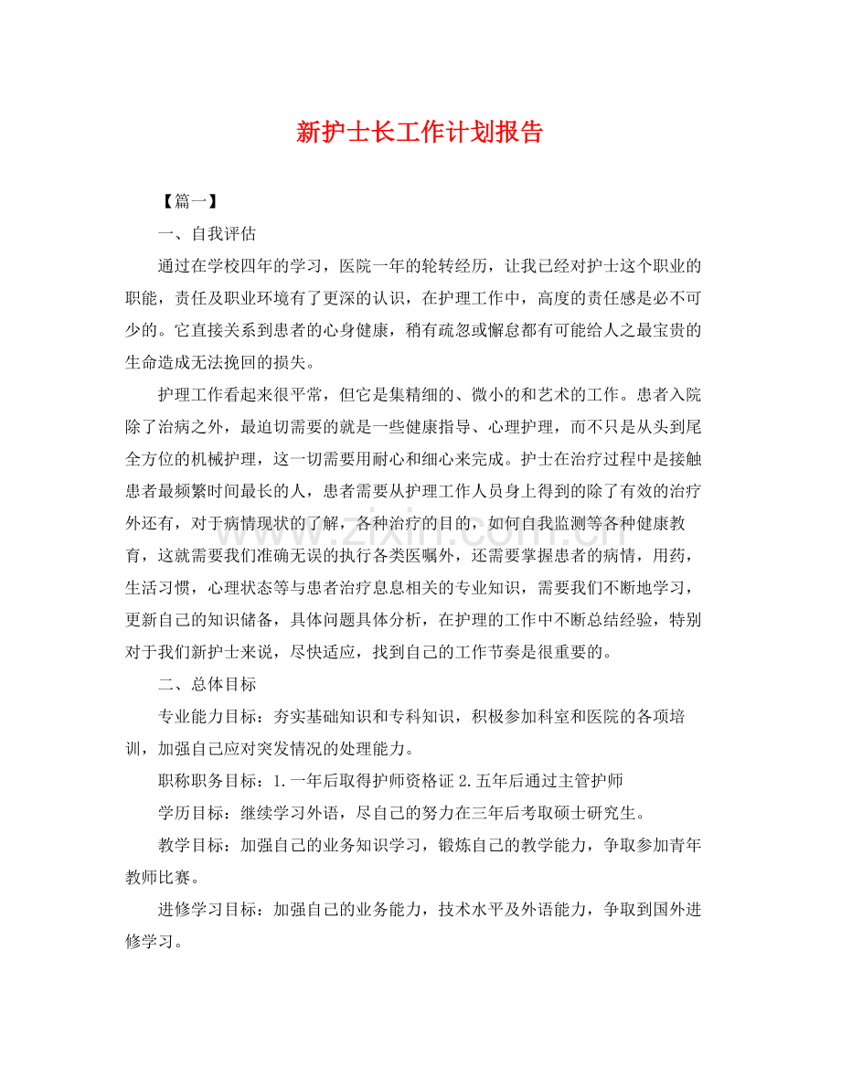 新护士长工作计划报告 .docx_第1页