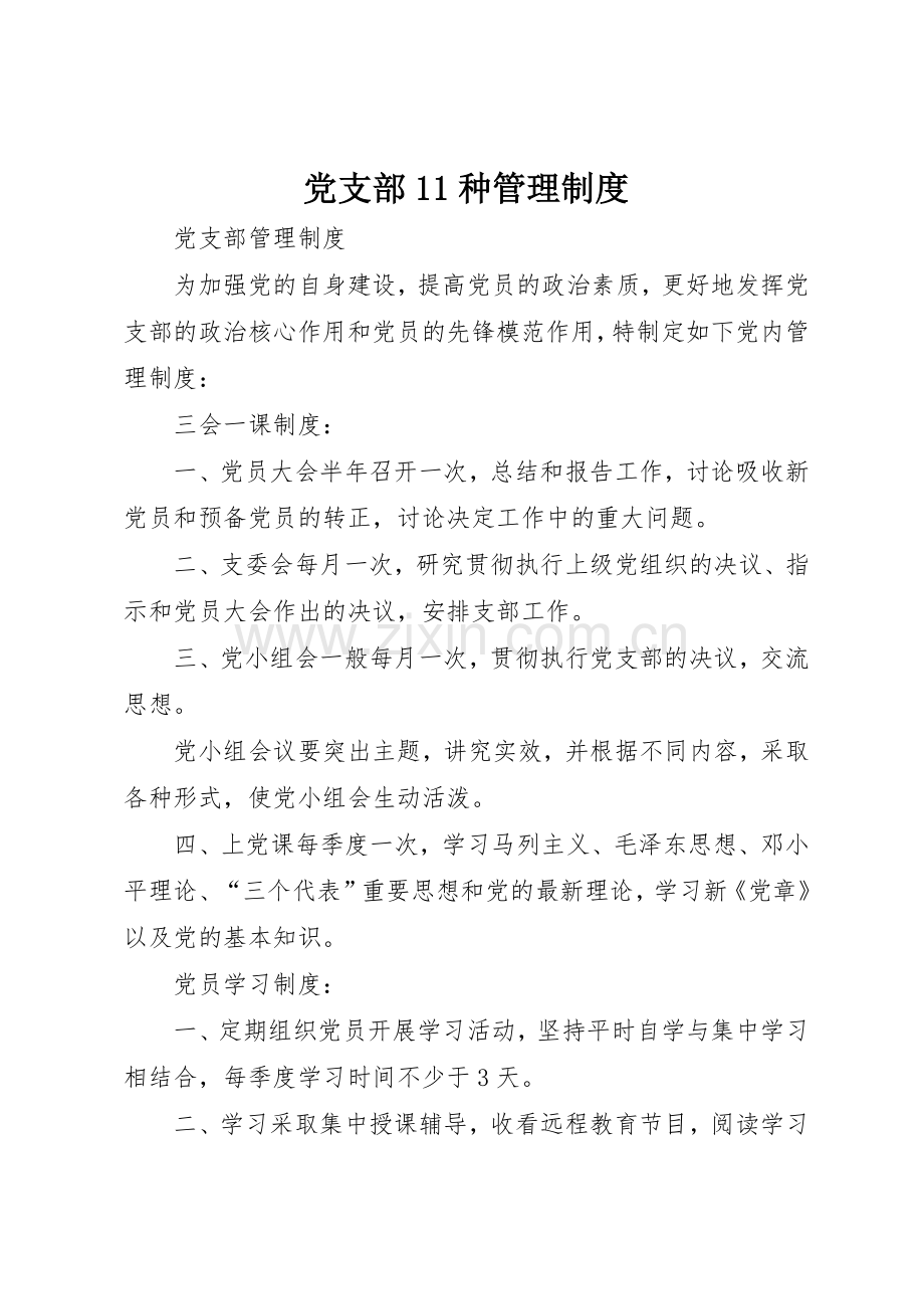 党支部11种管理规章制度细则.docx_第1页